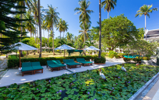 Racha Island 4